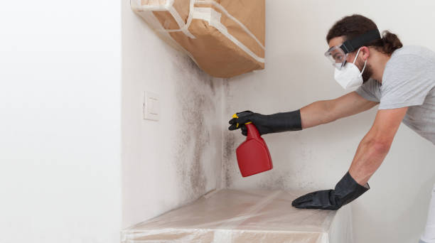 Professional Mold Testing technician working in Flower Mound, TX